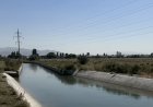 Таразда каналдан жаңа туған нәрестенің денесі табылды