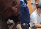 Тікелей эфирде мысықты тістеген ер адам айыппұл арқалады