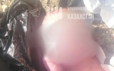 Жамбыл облысында қоқыс жәшігінен жаңа туған сәби табылды