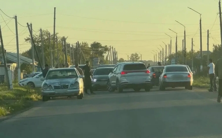 Ақмола облысында 8 жастағы қызды көлік қағып, қайтыс болды