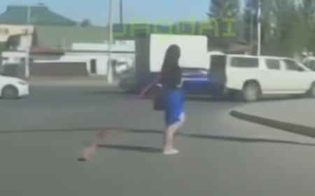 Астанада мысықты жіпке байлап, көшеде  сүйреген әйел көптің ашуын туғызды