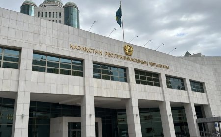 Құрылтайда оппозицияға қандай кепілдіктер берілді