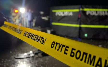 Украинада Астанадағы жарылғыш зат туралы жалған хабарлама жіберген жасөспірім ұсталды