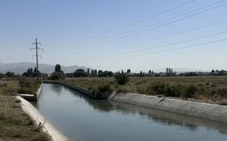 Таразда каналдан жаңа туған нәрестенің денесі табылды