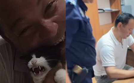 Тікелей эфирде мысықты тістеген ер адам айыппұл арқалады
