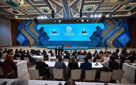 Тоқаев кадр тапшылығы байқалатын салаларды атады