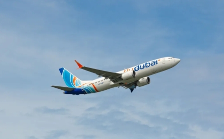 Басып алу сигналын басқан: БАӘ-ден Израильге бет алған Flydubai ұшағы радардан жоғалып кетті