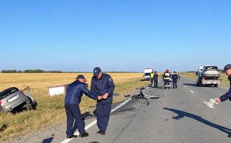 Қостанай облысында жол апатынан бір адам қаза тапты