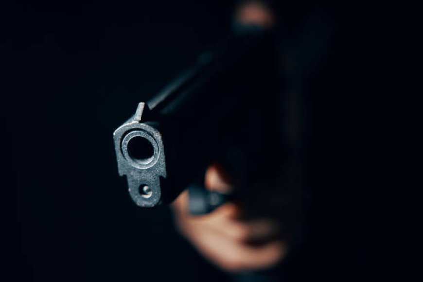 Ақтөбеде ер адам қарындасын ұрған күйеу баласын атып жаралады