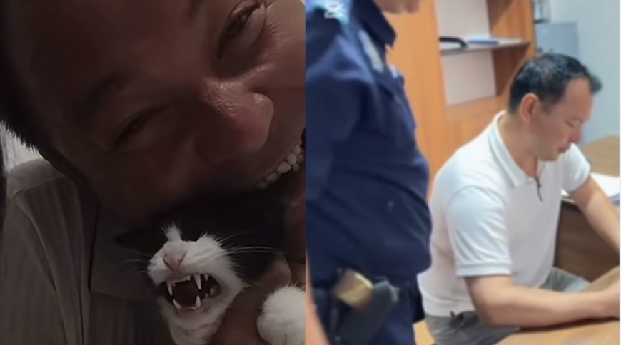 Тікелей эфирде мысықты тістеген ер адам айыппұл арқалады