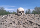«Құдай өзі кешірсін»: Петропавлда құрылыс алаңынан адам сүйектері табылып жатыр