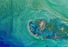 В Каспийском море появился новый остров из-за обмеления