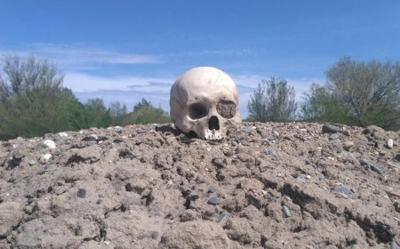 «Құдай өзі кешірсін»: Петропавлда құрылыс алаңынан адам сүйектері табылып жатыр