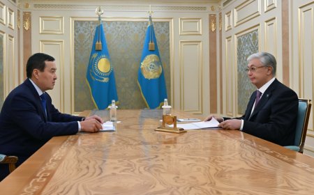 Мемлекет басшысы Әлихан Смайыловты қабылдады