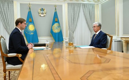 Мемлекет басшысы Тимур Турловты қабылдады