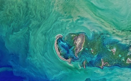 В Каспийском море появился новый остров из-за обмеления
