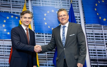 ЕС начинает переговоры с Китаем об ограничении импорта гибридных авто