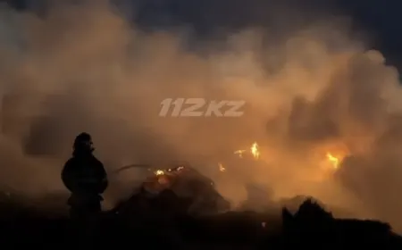 Ұлытау облысында 100 бума шөп өртеніп кетті
