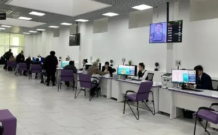 Қазақстанда шетел азаматтарына ЖСН беру тәртібі өзгеруі мүмкін