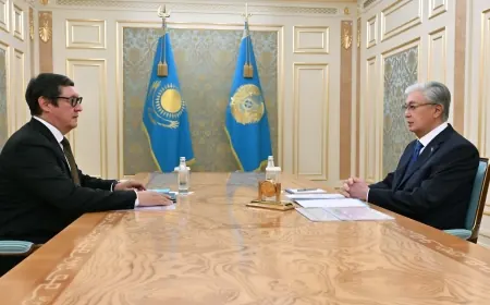 Тоқаев  Атом энергиясы жөніндегі агенттіктің төрағасын қабылдады