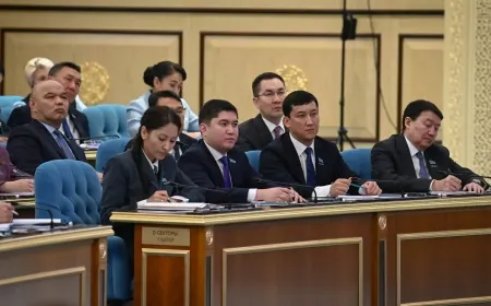 Тоқаев әлеуметтік көмекті тек мұқтаж адамдарға беруді тапсырды