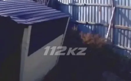 Ішінде әйел болған: Павлодар облысында дәретхана опырылып, жер астына түсіп кетті
