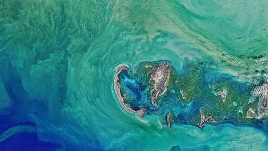 В Каспийском море появился новый остров из-за обмеления