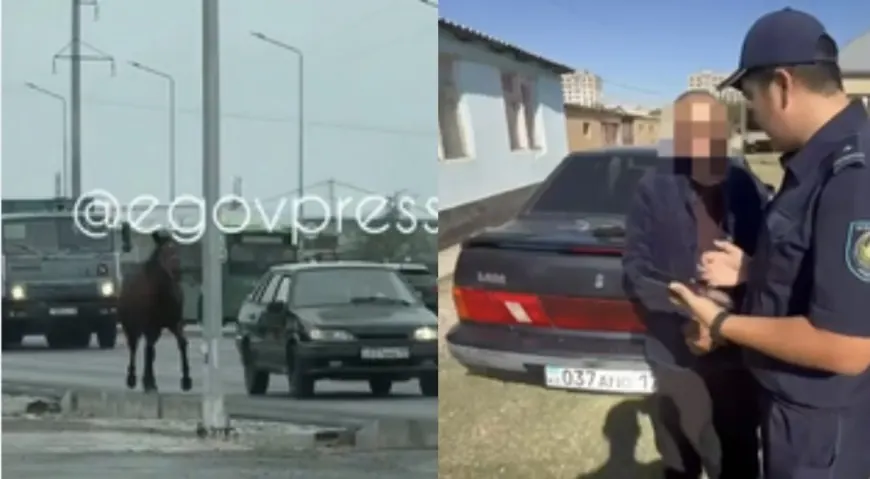 Шымкентте жылқыны көлікке байлап сүйреген  ер адам жауапқа тартылды